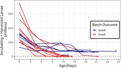 Microbial community structure variability over the development of healthy and underperforming oyster larval hatchery broods